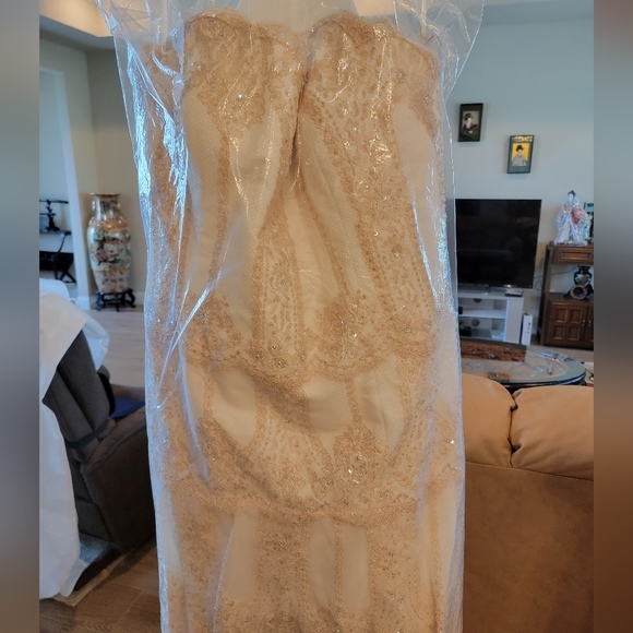 Stunning & Delicate Tiered Lace Eden Bridal Gown NWT - Picture 15 of 17